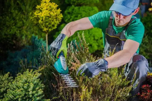 landscaping services Mansfield Center